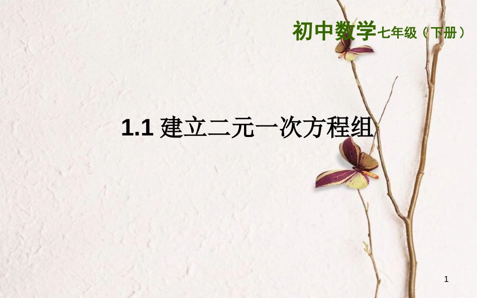 山东省东营市垦利区郝家镇七年级数学下册 1.1 建立二元一次方程组课件 （新版）湘教版_第1页