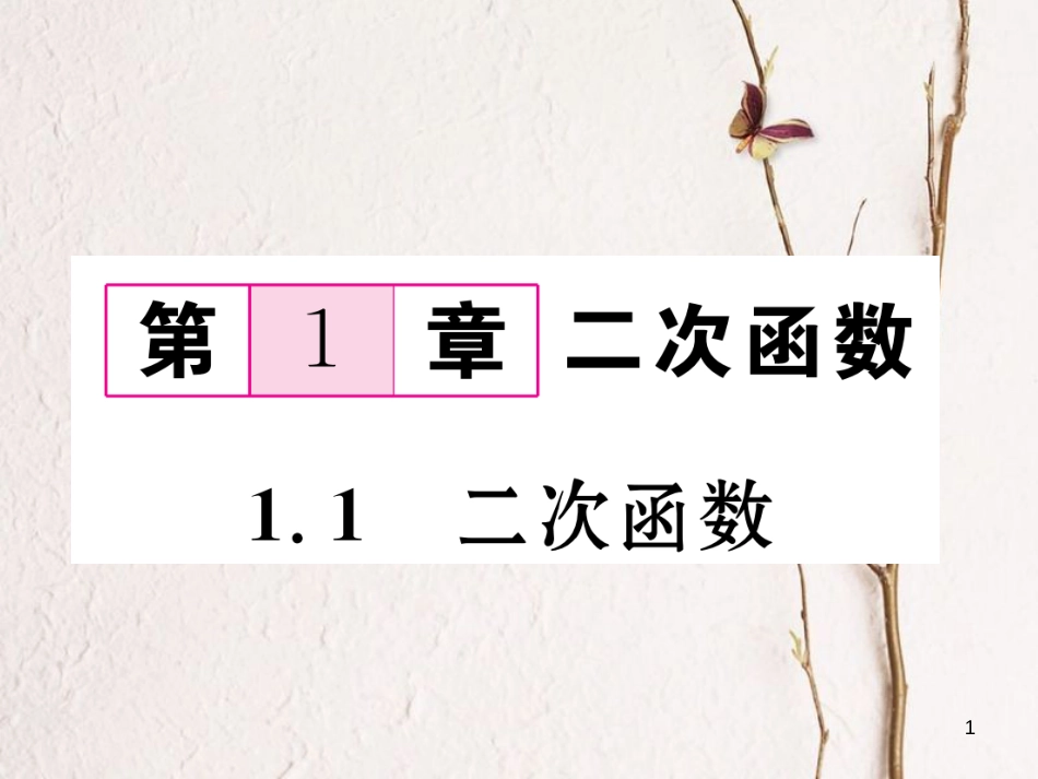 九年级数学下册 第1章 二次函数 1.1 二次函数作业课件 （新版）湘教版_第1页