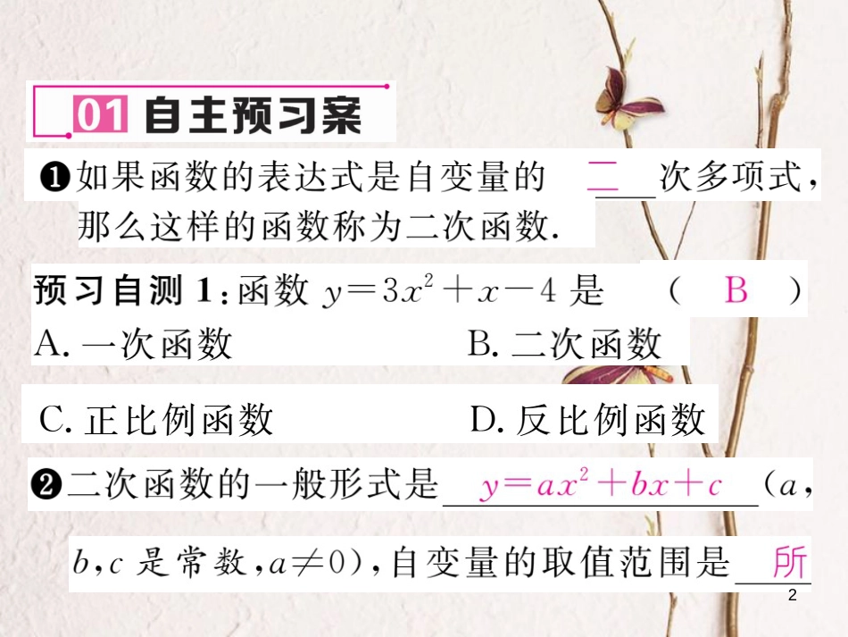 九年级数学下册 第1章 二次函数 1.1 二次函数作业课件 （新版）湘教版_第2页