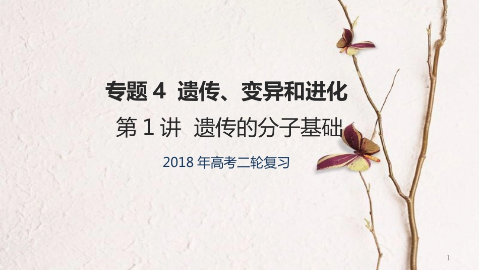 年高考生物二轮复习 专题4 遗传、变异和进化 第1讲 遗传的分子基础课件_第1页