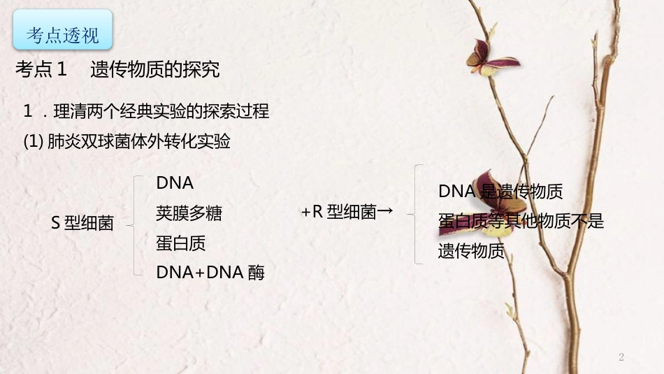 年高考生物二轮复习 专题4 遗传、变异和进化 第1讲 遗传的分子基础课件_第2页