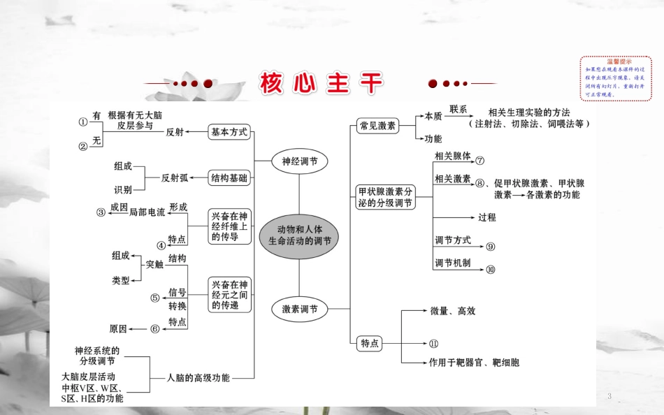 届高三生物二轮复习 2.9 专题9 动物和人体生命活动的调节课件_第3页