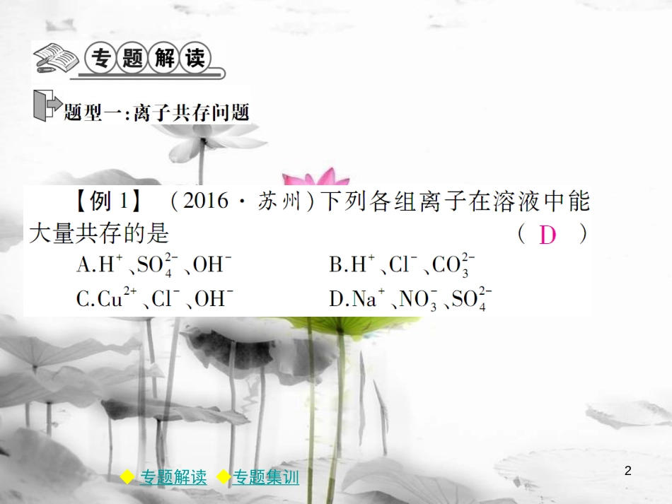 年春九年级化学下册 第十一章 盐 化肥 专题特训 复分解反应的应用（一）课件 （新版）新人教版_第2页