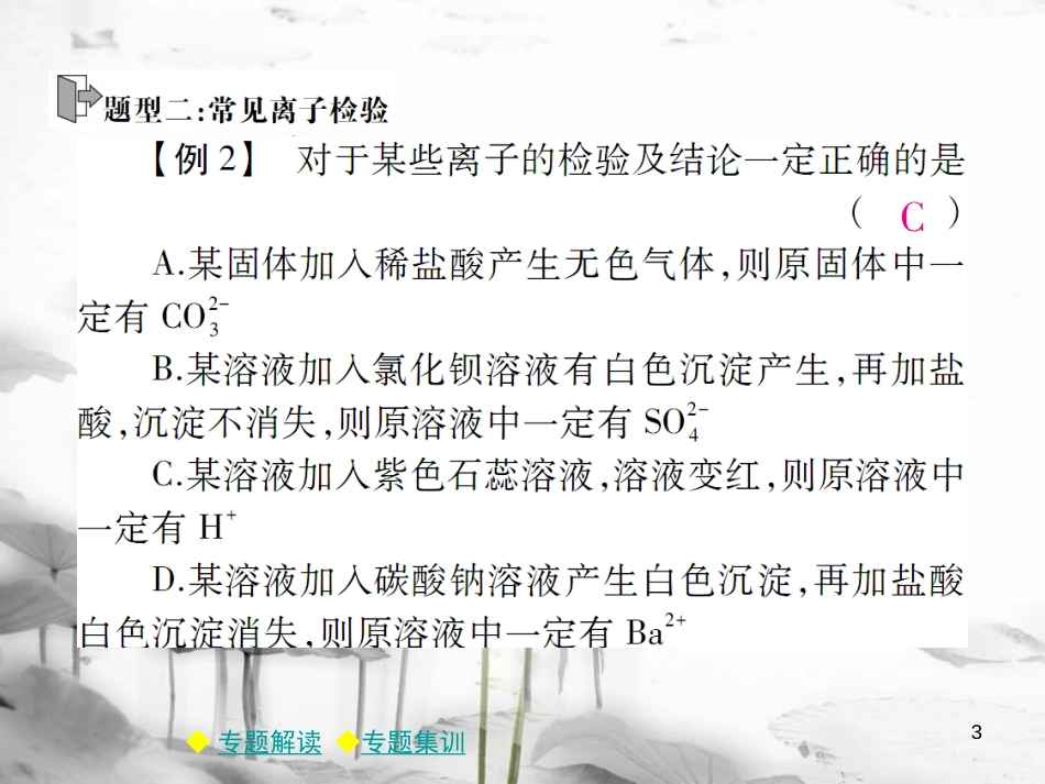 年春九年级化学下册 第十一章 盐 化肥 专题特训 复分解反应的应用（一）课件 （新版）新人教版_第3页