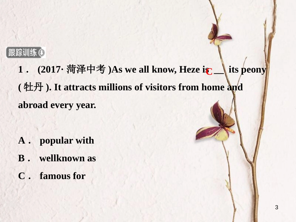 山东省菏泽市中考英语总复习 语法七 形容词课件_第3页