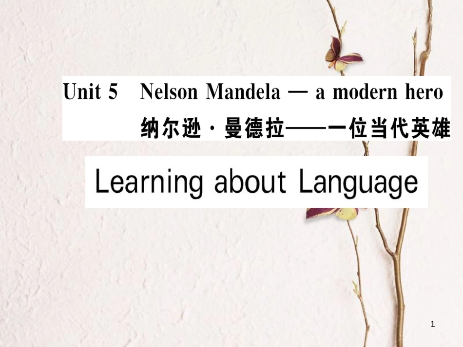 高中英语 Unit 5 Nelson Mandela-a modern hero Learning about Language课件 新人教版必修1_第1页