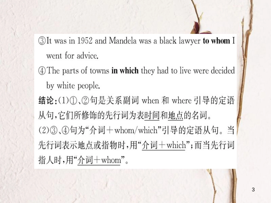 高中英语 Unit 5 Nelson Mandela-a modern hero Learning about Language课件 新人教版必修1_第3页