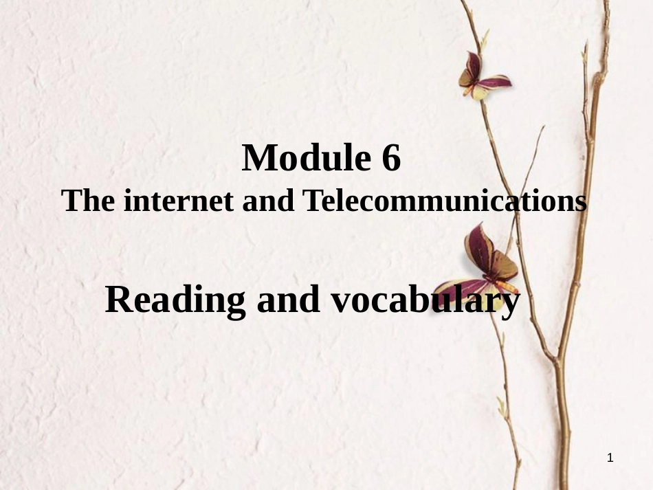 高中英语 Module 6 The Internet and Telecommuniation Reading and Vocabulary 课件2 外研版必修1_第1页