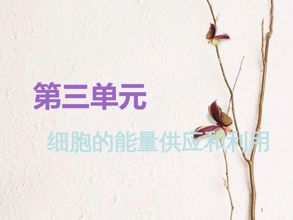 （全国通用版）2019版高考生物一轮复习 第1部分 分子与细胞 第三单元 细胞的能量供应和利用 第1讲 降低化学反应活化能的酶精准备考实用课件_第1页