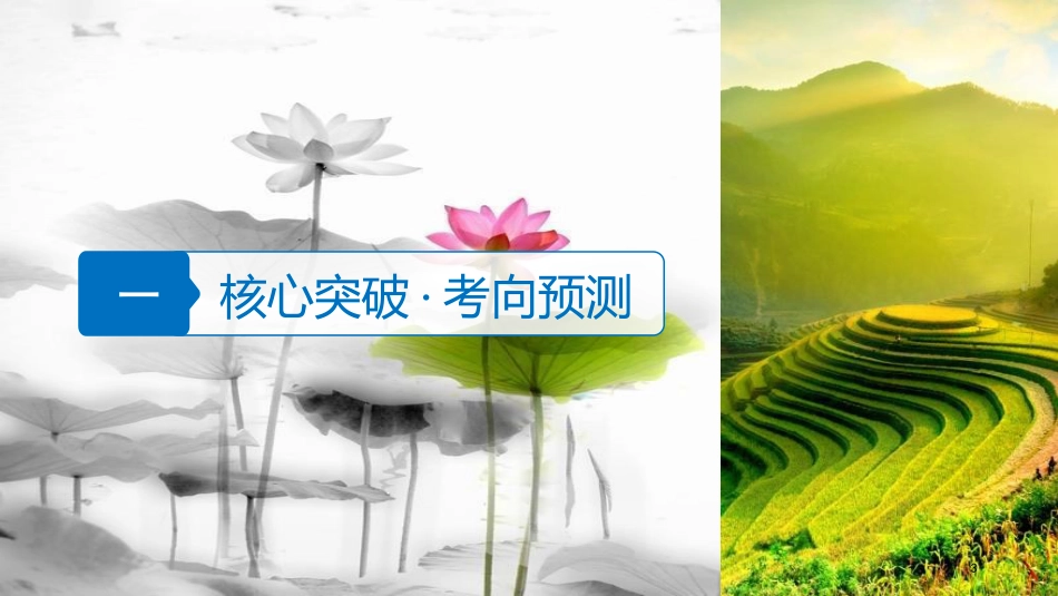 届高考地理二轮专题复习 专题九 农业区位与区域农业的可持续发展课件 新人教版_第3页