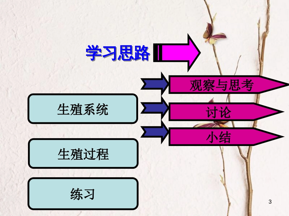 吉林省长春市七年级生物下册 4.1.2人的生殖课件 新人教版_第3页