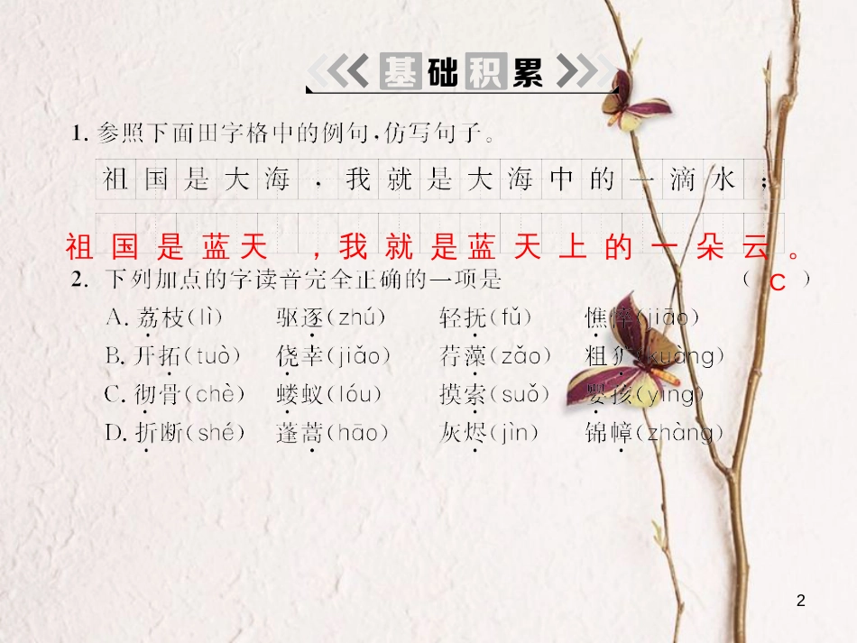 九年级语文下册 第一单元 2 我用残损的手掌课件 （新版）新人教版_第2页