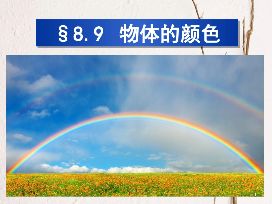 八年级物理下册 8.9《物体的颜色》课件1 北京课改版_第1页