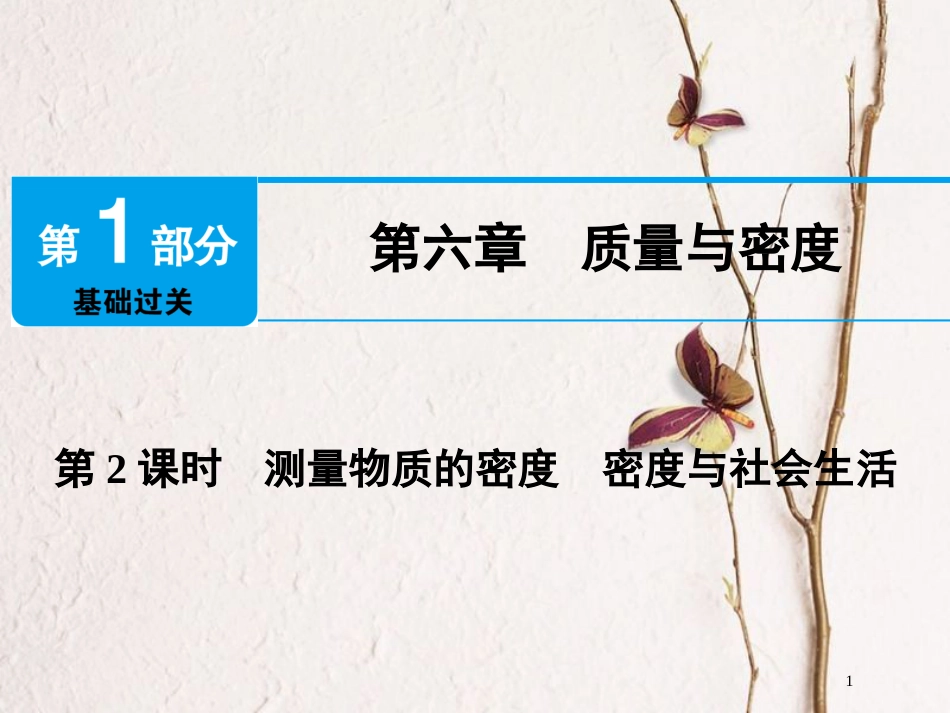广东省深圳市2018年中考物理总复习 第六章 质量与密度第2课时课件_第1页