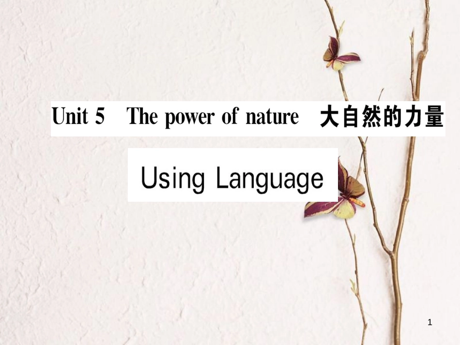 高中英语 Unit 5 The power of nature Using Language课件 新人教版选修6_第1页