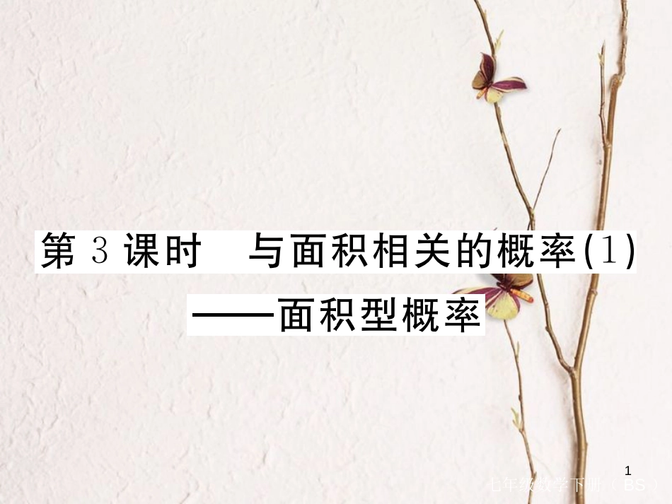 七年级数学下册 第六章 频率初步 6.3 等可能事件的概率 第3课时 与面积相关的概率（1）—面积型概率练习课件 （新版）北师大版_第1页