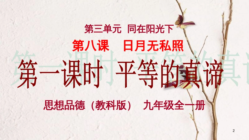 九年级政治全册 第三单元 同在阳光下 第八课《日月无私照》第1框《平等的真谛》课件 教科版_第2页