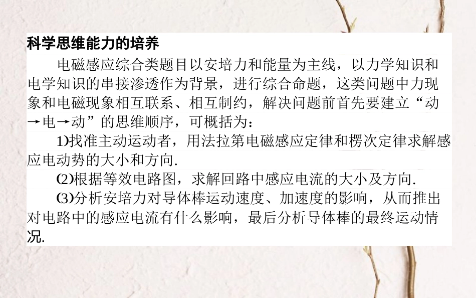 2019届高考物理一轮复习 第十章 电磁感应核心素养提升课件_第2页