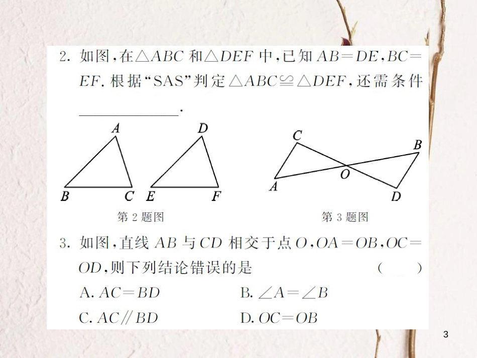 八年级数学上册 第2章 三角形 2.5 全等三角形 第2课时 全等三角形的判定1习题课件 （新版）湘教版_第3页