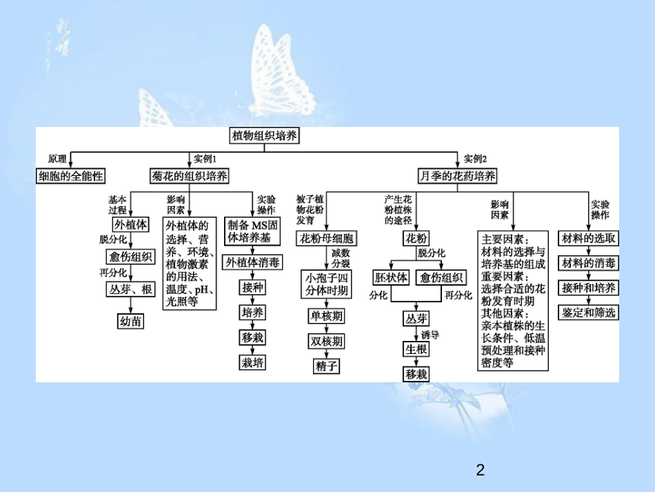 高中生物 专题3 植物的组织培养技术整合课件 新人教版选修1_第2页