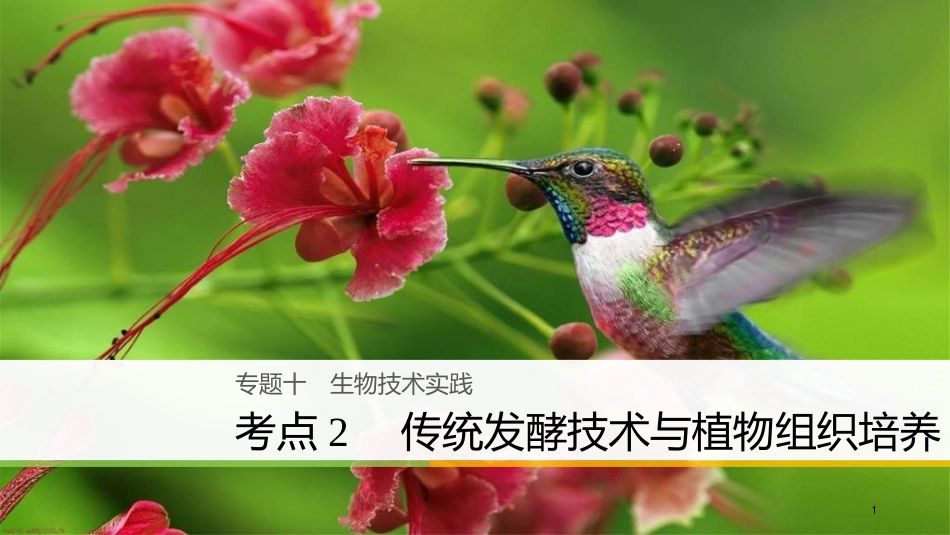 （浙江选考）高三生物二轮专题复习 专题十 生物技术实践 考点2 传统发酵技术与植物组织培养课件 新人教版_第1页
