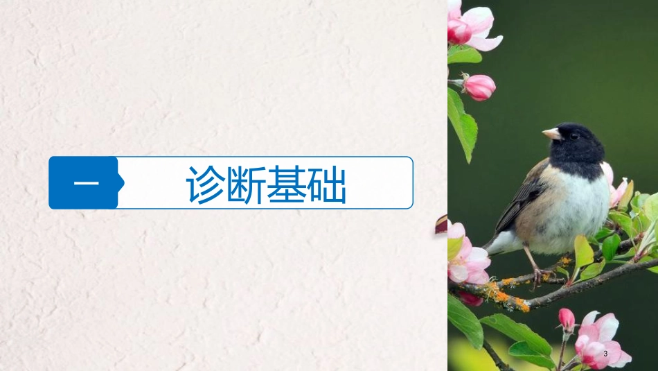 （浙江选考）高三生物二轮专题复习 专题十 生物技术实践 考点2 传统发酵技术与植物组织培养课件 新人教版_第3页