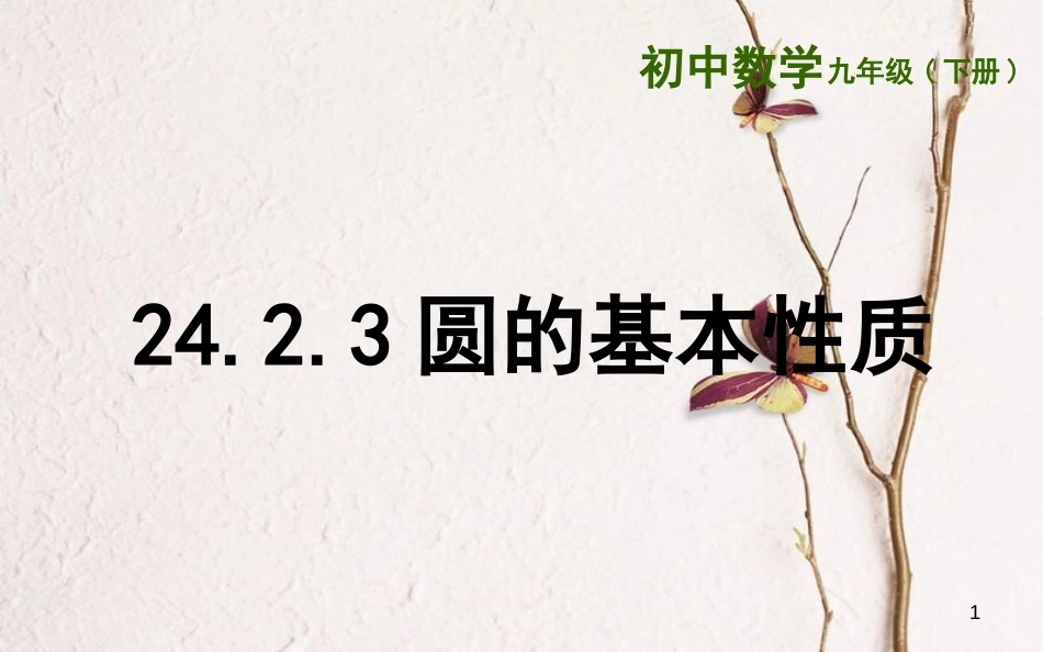 上海市金山区山阳镇九年级数学下册 24.2 圆的基本性质 24.2.3 圆的基本性质课件 （新版）沪科版_第1页