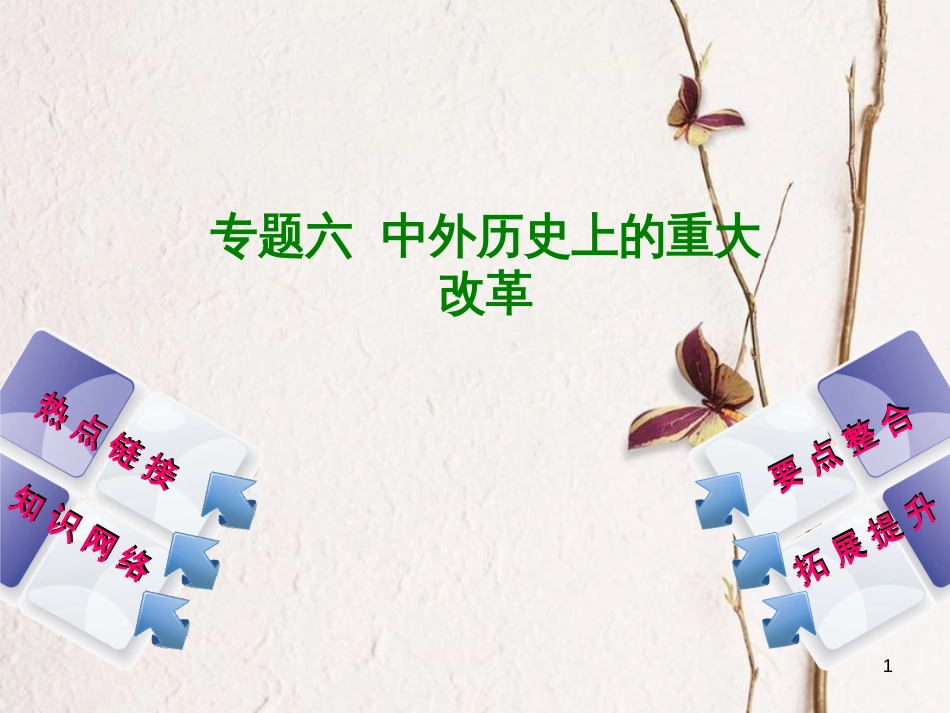 湖南省2018年中考历史复习 专题突破 专题六 中外历史上的重大改革课件_第1页