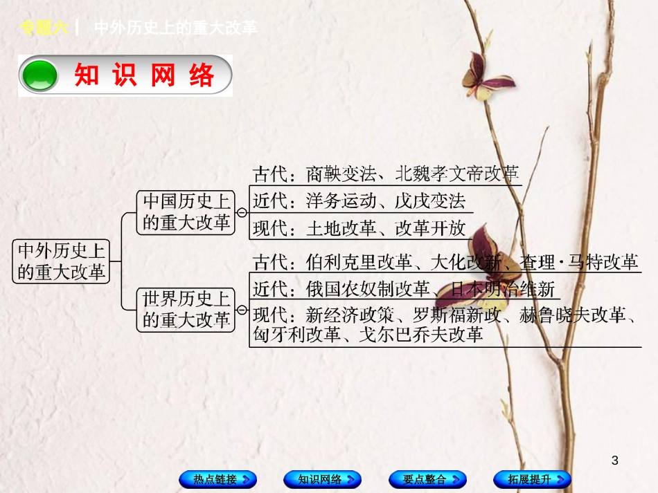 湖南省2018年中考历史复习 专题突破 专题六 中外历史上的重大改革课件_第3页