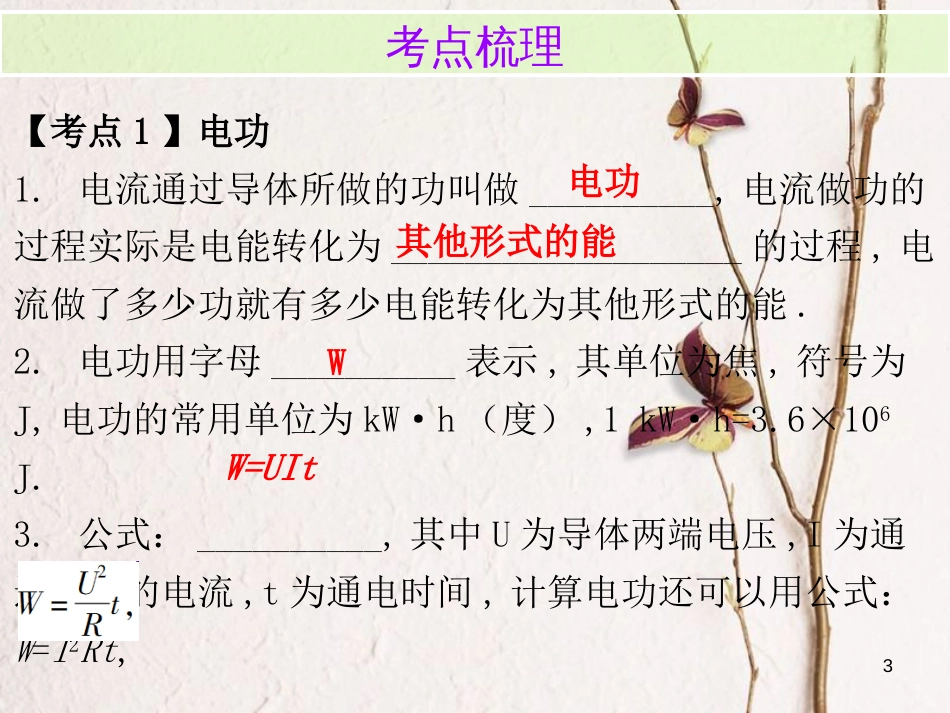 广东省中考物理总复习 第一部分 基础复习 第24课时 电功率内文部分课件_第3页