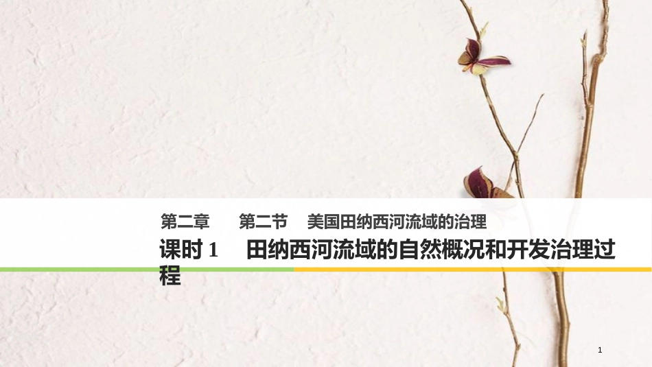 高中地理 第二章 区域可持续发展 第二节 美国田纳西河流域的治理（1）同步备课课件 中图版必修3_第1页