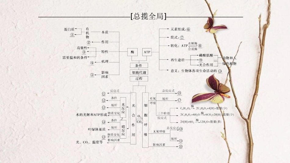 （全国版）2019版高考生物一轮复习 第3单元 细胞的能量供应和利用单元网络构建课件_第2页