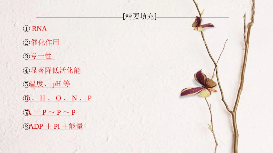 （全国版）2019版高考生物一轮复习 第3单元 细胞的能量供应和利用单元网络构建课件_第3页