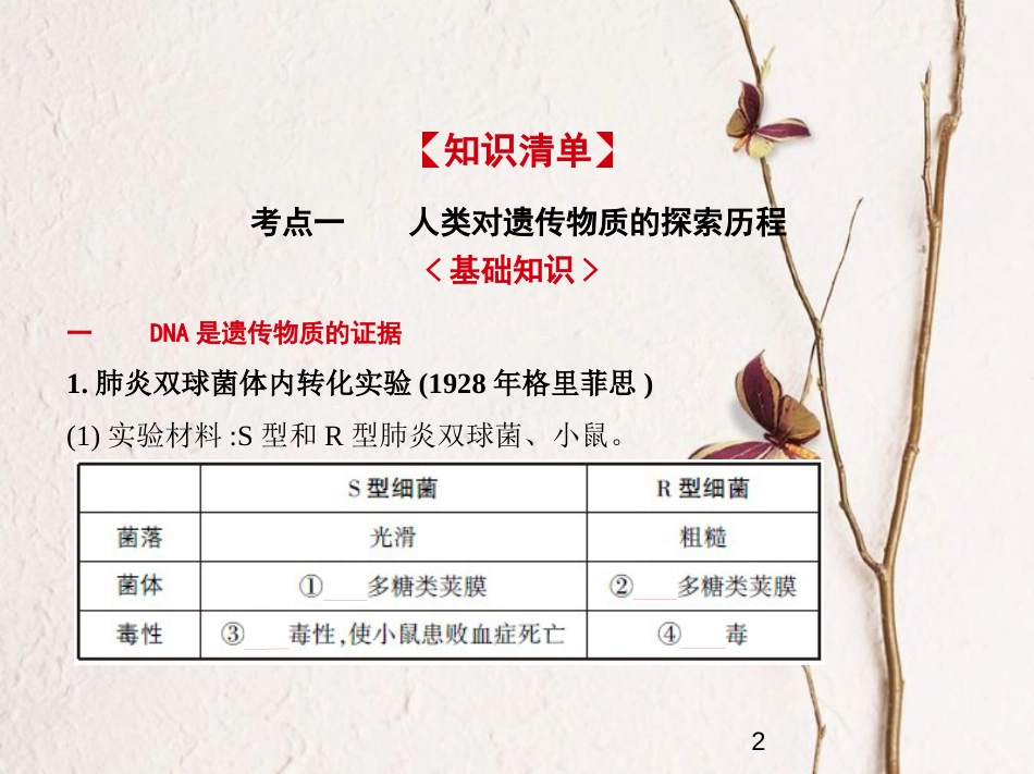 （新课标）2019版高考生物一轮复习 专题10 遗传的分子基础课件_第2页