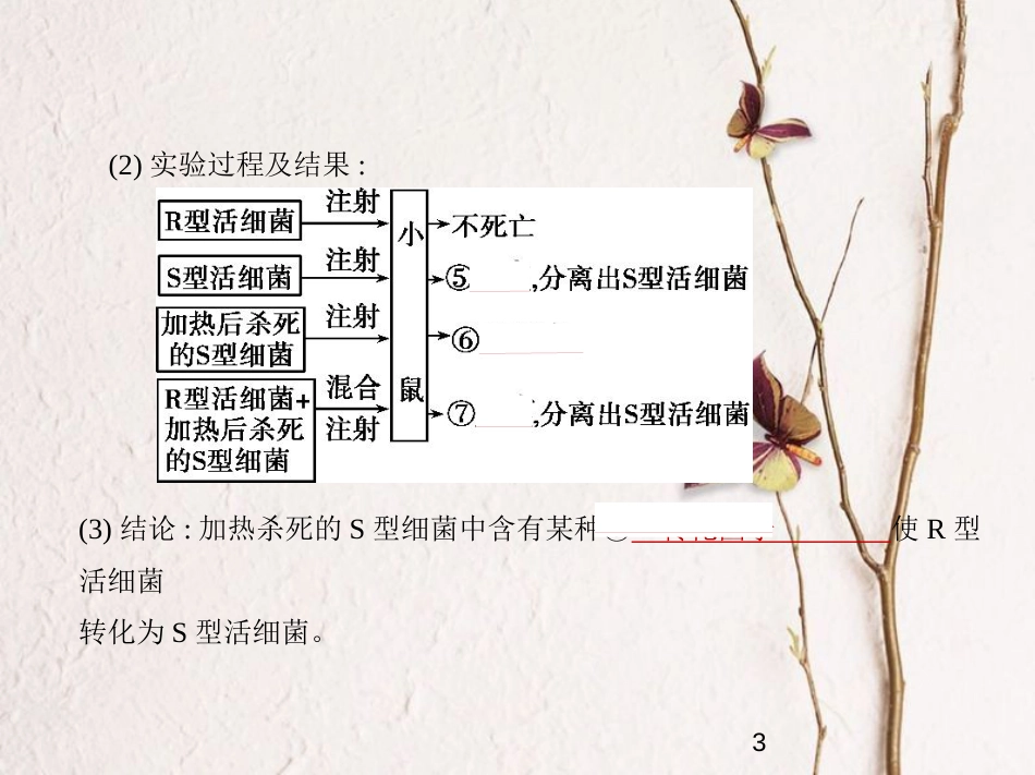 （新课标）2019版高考生物一轮复习 专题10 遗传的分子基础课件_第3页