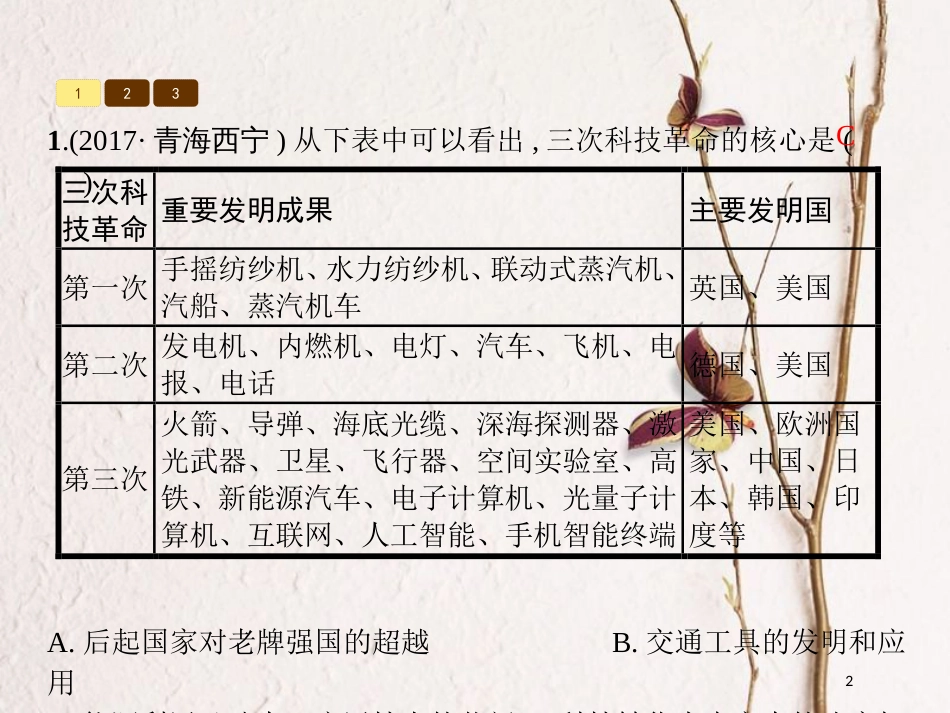 （福建专版）九年级历史下册 中考体验8课件 新人教版_第2页