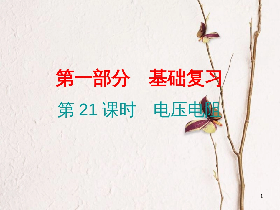 广东省中考物理总复习 第一部分 基础复习 第21课时 电压电阻课后作业课件_第1页