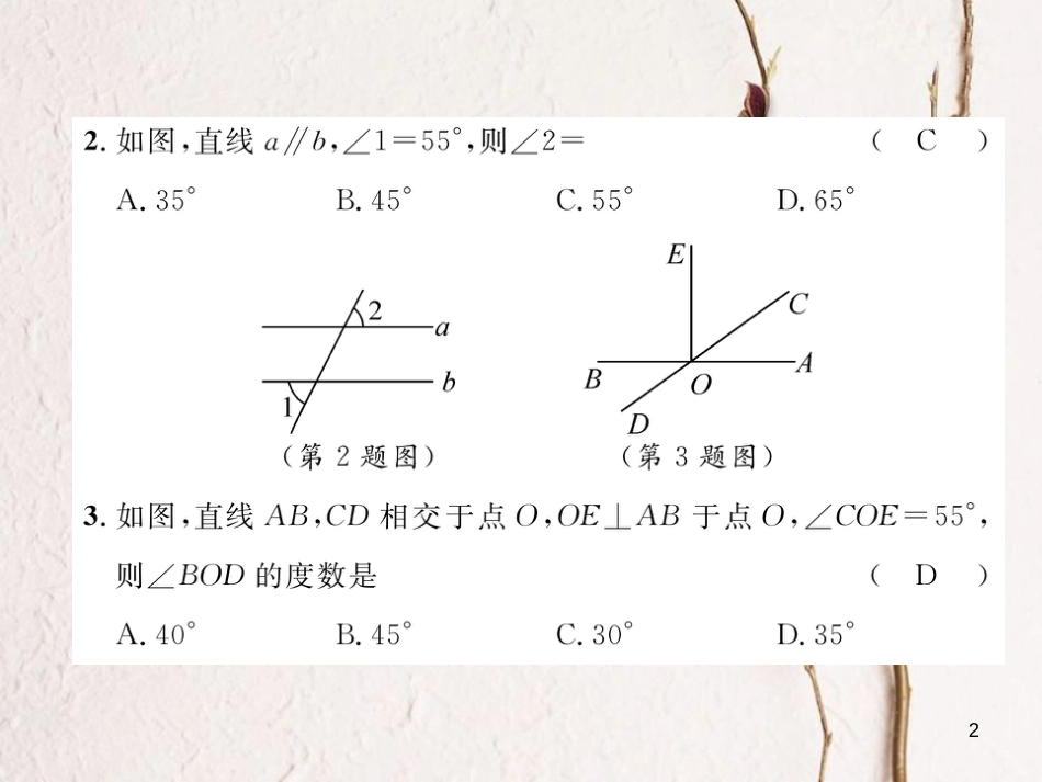 七年级数学下册 第2章 相交的平行线达标测试卷作业课件 （新版）北师大版_第2页