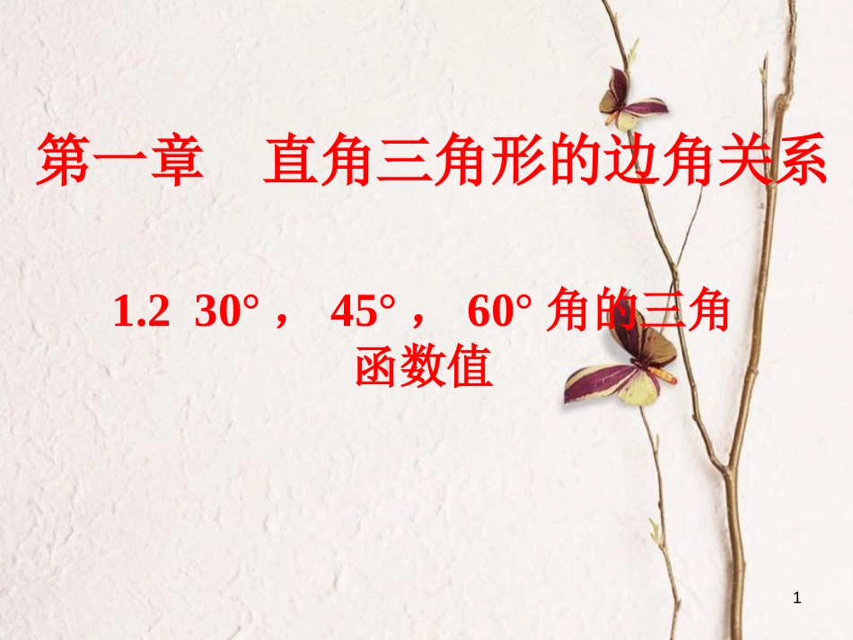 九年级数学下册 第一章 直角三角形的边角关系 1.2 30°，45°，60°角的三角函数值课件 （新版）北师大版_第1页