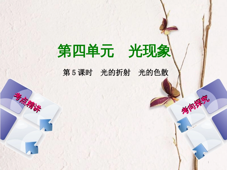 中考物理复习 第四单元 光现象 第5课时 光的折射 光的色散课件_第1页