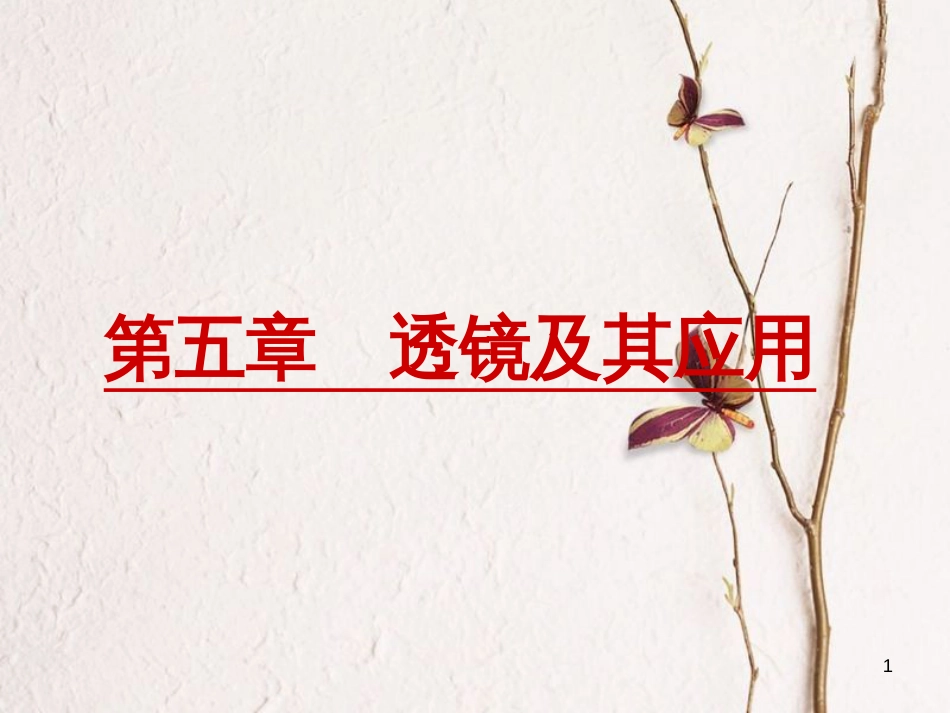 山东省新泰市中考物理 第五章 透镜及其应用复习课件 新人教版_第1页