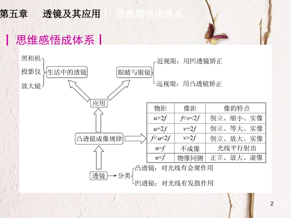山东省新泰市中考物理 第五章 透镜及其应用复习课件 新人教版_第2页