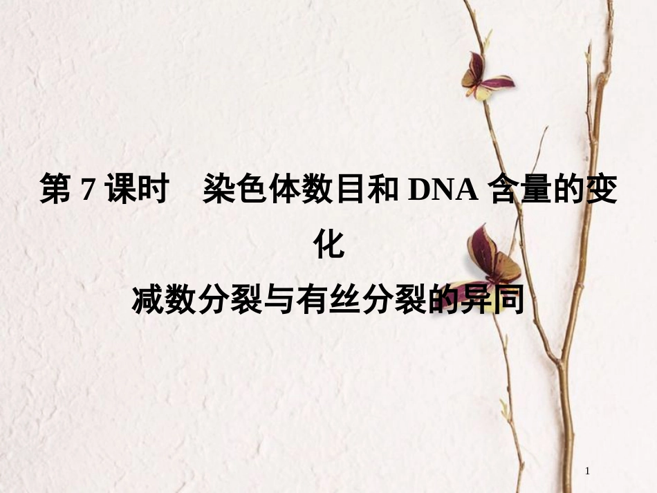 高中生物 第二章 染色体与遗传 第7课时 染色体数目和DNA含量的变化减数分裂与有丝分裂的异同同步备课课件 浙科版必修2_第1页