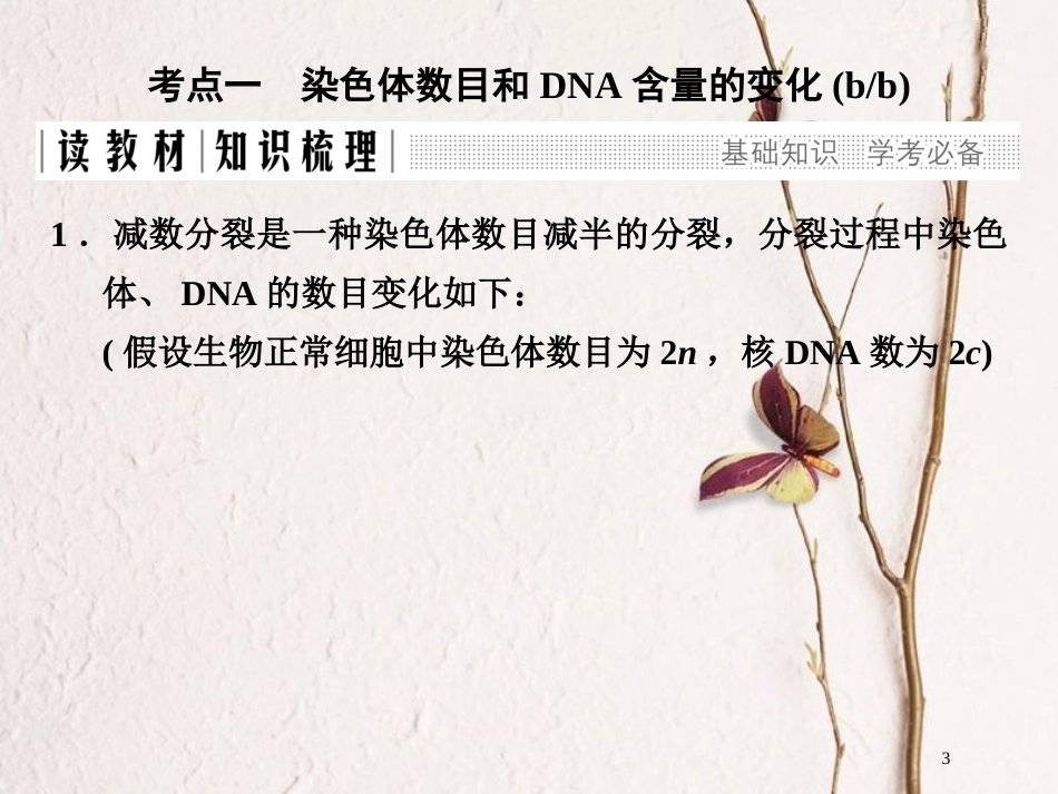 高中生物 第二章 染色体与遗传 第7课时 染色体数目和DNA含量的变化减数分裂与有丝分裂的异同同步备课课件 浙科版必修2_第3页