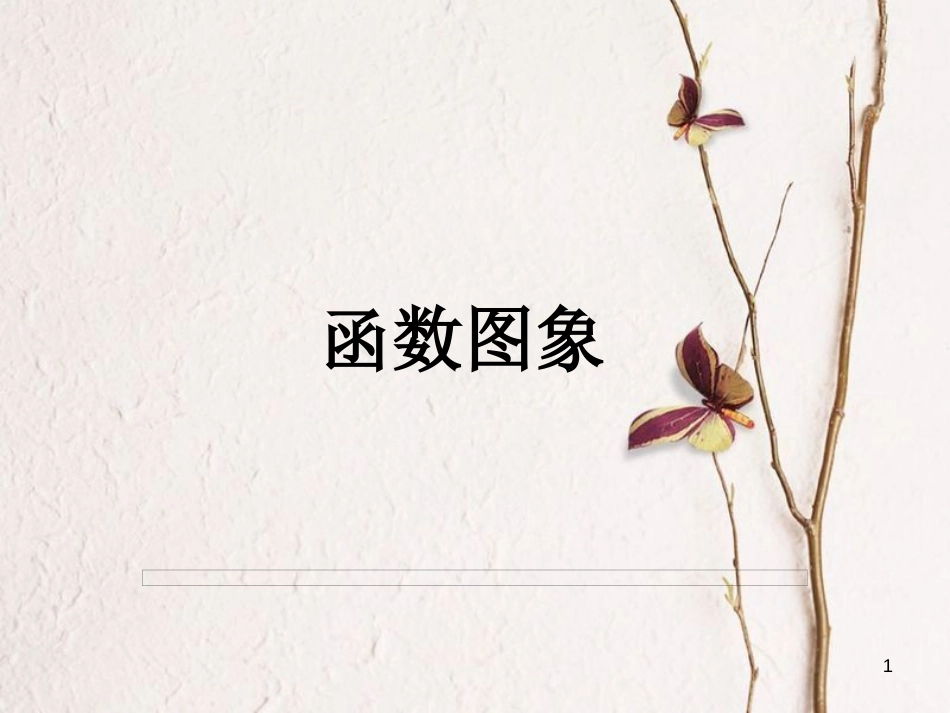 山西省忻州市高考数学 专题 函数图象复习课件_第1页