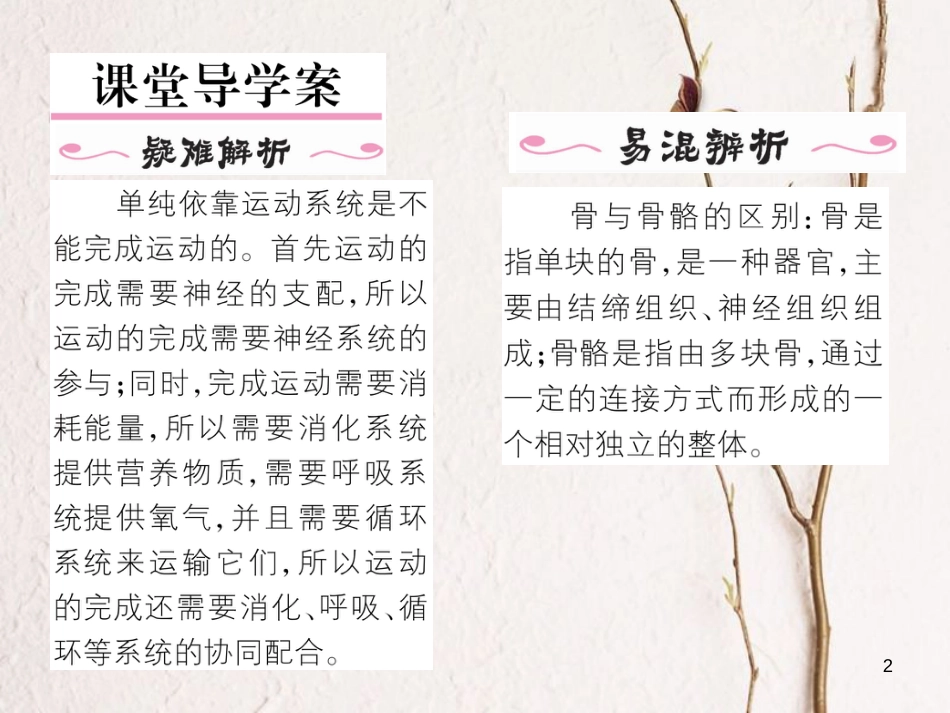 八年级生物上册 第五单元 第2章 第一节 动物的运动课件 （新版）新人教版_第2页