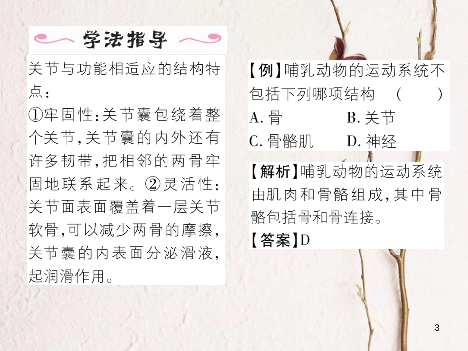 八年级生物上册 第五单元 第2章 第一节 动物的运动课件 （新版）新人教版_第3页