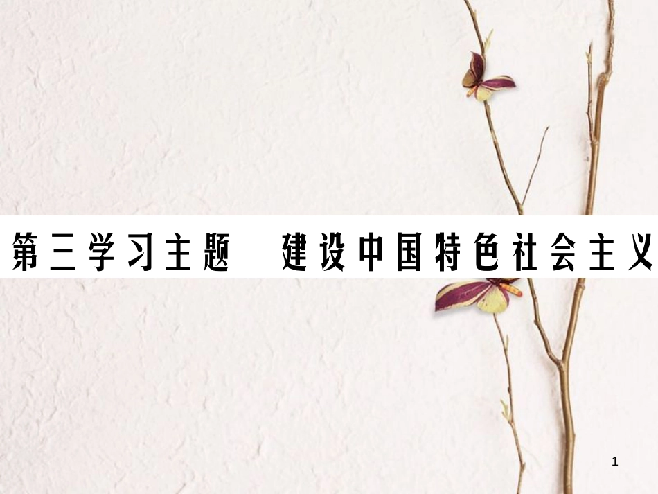 中考历史总复习 第三部分 中国现代史 第三学习主题 建设中国特色社会主义课件_第1页