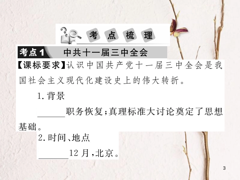 中考历史总复习 第三部分 中国现代史 第三学习主题 建设中国特色社会主义课件_第3页