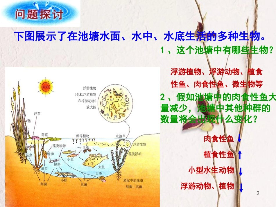 河北省南宫市高中生物第四章种群和群落4.3群落的结构课件新人教版必修3_第2页